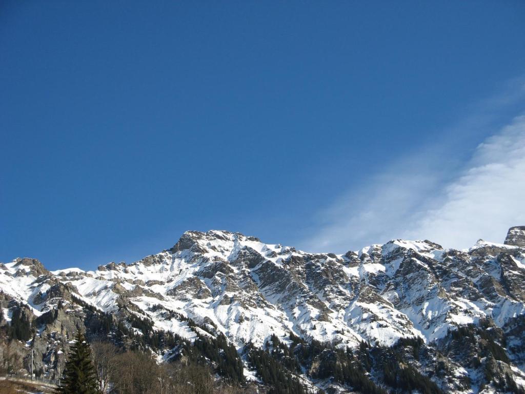 Swiss Lodge Hotel Bernerhof Wengen Eksteriør bilde